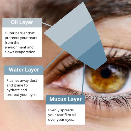 visual depiction of the three components of your eye's tear film